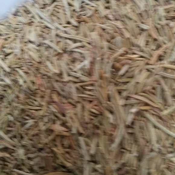 Rosemary - Picture 2 of 4